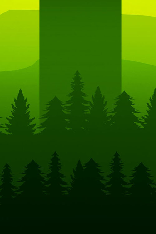 Forest Doesn't Care key art
